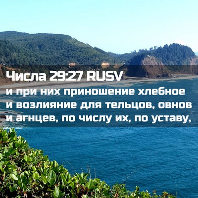 Picture 02 - Числа 29:27 RUSV - и при них приношение - Bible Verse Picture