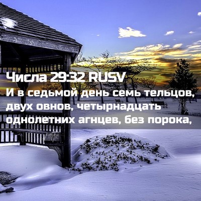 Picture 02 - Числа 29:32 RUSV - И в седьмой день семь - Bible Verse Picture