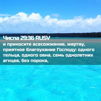 Picture 02 - Числа 29:36 RUSV - и приносите всесожжение, - Bible Verse Picture