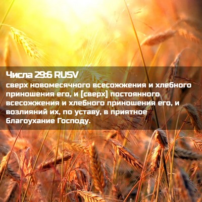 Picture 02 - Числа 29:6 RUSV - сверх новомесячного - Bible Verse Picture