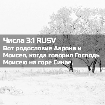Picture 02 - Числа 3:1 RUSV - Вот родословие Аарона и - Bible Verse Picture