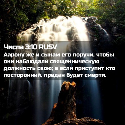 Picture 02 - Числа 3:10 RUSV - Аарону же и сынам его - Bible Verse Picture
