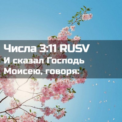 Picture 02 - Числа 3:11 RUSV - И сказал Господь Моисею, - Bible Verse Picture