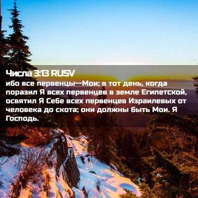 Picture 02 - Числа 3:13 RUSV - ибо все первенцы--Мои; в тот - Bible Verse Picture