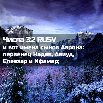 Picture 02 - Числа 3:2 RUSV - и вот имена сынов Аарона: - Bible Verse Picture