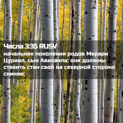 Picture 02 - Числа 3:35 RUSV - начальник поколения родов - Bible Verse Picture