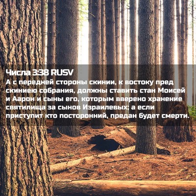 Picture 02 - Числа 3:38 RUSV - А с передней стороны - Bible Verse Picture