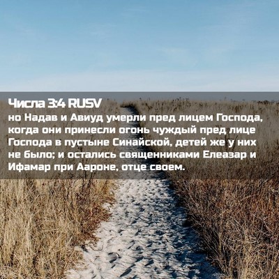 Picture 02 - Числа 3:4 RUSV - но Надав и Авиуд умерли - Bible Verse Picture