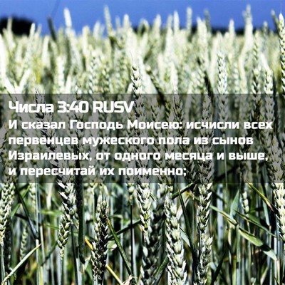 Picture 02 - Числа 3:40 RUSV - И сказал Господь Моисею: - Bible Verse Picture