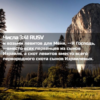 Picture 02 - Числа 3:41 RUSV - и возьми левитов для Меня, - Bible Verse Picture
