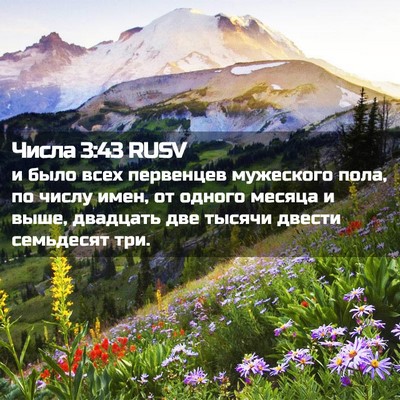 Picture 02 - Числа 3:43 RUSV - и было всех первенцев - Bible Verse Picture