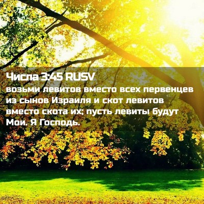 Picture 02 - Числа 3:45 RUSV - возьми левитов вместо всех - Bible Verse Picture
