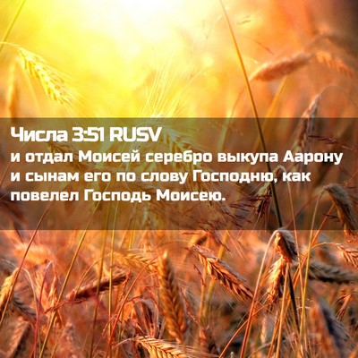 Picture 02 - Числа 3:51 RUSV - и отдал Моисей серебро - Bible Verse Picture