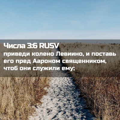 Picture 02 - Числа 3:6 RUSV - приведи колено Левиино, и - Bible Verse Picture