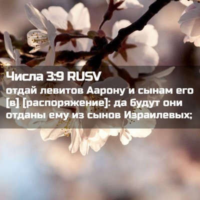 Picture 02 - Числа 3:9 RUSV - отдай левитов Аарону и - Bible Verse Picture
