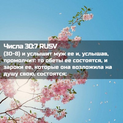 Picture 02 - Числа 30:7 RUSV - (30-8) и услышит муж ее и, - Bible Verse Picture