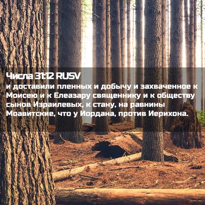 Picture 02 - Числа 31:12 RUSV - и доставили пленных и - Bible Verse Picture