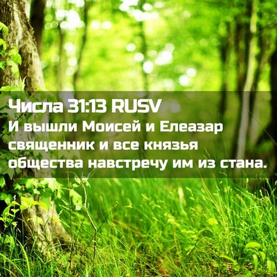 Picture 02 - Числа 31:13 RUSV - И вышли Моисей и Елеазар - Bible Verse Picture