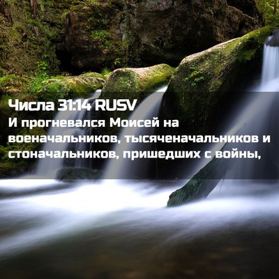 Picture 02 - Числа 31:14 RUSV - И прогневался Моисей на - Bible Verse Picture