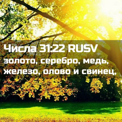 Picture 02 - Числа 31:22 RUSV - золото, серебро, медь, - Bible Verse Picture