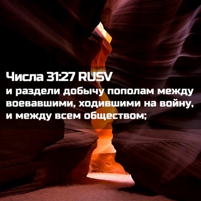 Picture 02 - Числа 31:27 RUSV - и раздели добычу пополам - Bible Verse Picture
