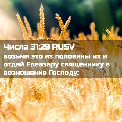 Picture 02 - Числа 31:29 RUSV - возьми это из половины их и - Bible Verse Picture