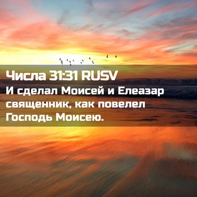 Picture 02 - Числа 31:31 RUSV - И сделал Моисей и Елеазар - Bible Verse Picture