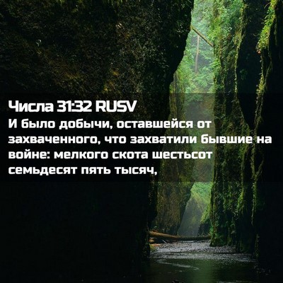 Picture 02 - Числа 31:32 RUSV - И было добычи, оставшейся - Bible Verse Picture