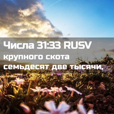 Picture 02 - Числа 31:33 RUSV - крупного скота семьдесят - Bible Verse Picture