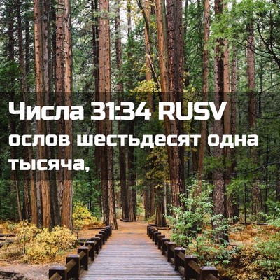 Picture 02 - Числа 31:34 RUSV - ослов шестьдесят одна - Bible Verse Picture