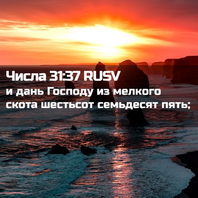 Picture 02 - Числа 31:37 RUSV - и дань Господу из мелкого - Bible Verse Picture