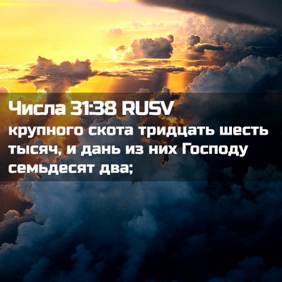 Picture 02 - Числа 31:38 RUSV - крупного скота тридцать - Bible Verse Picture