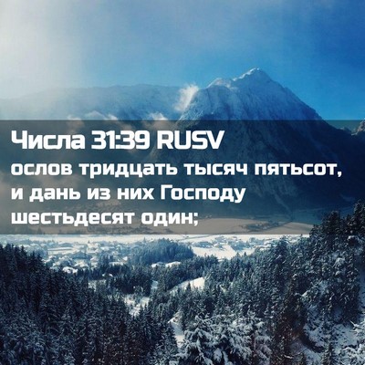 Picture 02 - Числа 31:39 RUSV - ослов тридцать тысяч - Bible Verse Picture