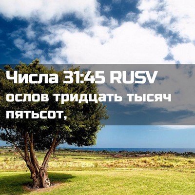Picture 02 - Числа 31:45 RUSV - ослов тридцать тысяч - Bible Verse Picture