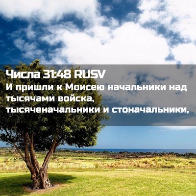 Picture 02 - Числа 31:48 RUSV - И пришли к Моисею - Bible Verse Picture