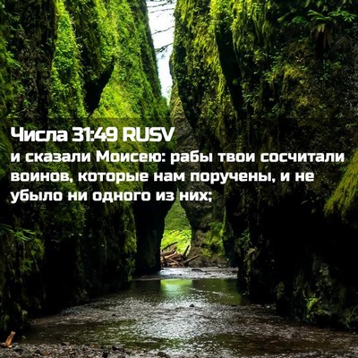 Picture 02 - Числа 31:49 RUSV - и сказали Моисею: рабы твои - Bible Verse Picture