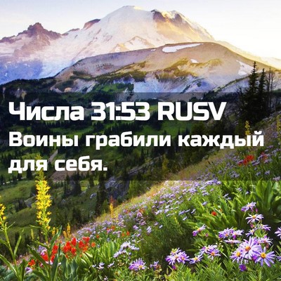 Picture 02 - Числа 31:53 RUSV - Воины грабили каждый для - Bible Verse Picture