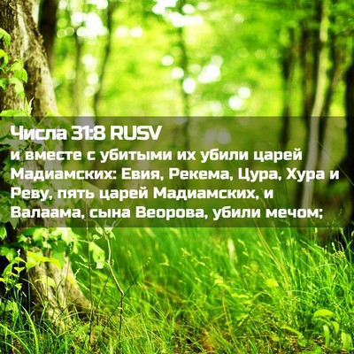 Picture 02 - Числа 31:8 RUSV - и вместе с убитыми их убили - Bible Verse Picture