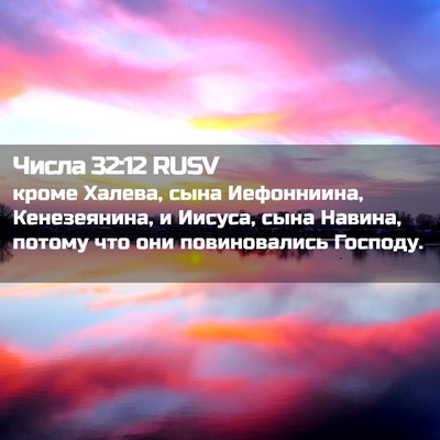 Picture 02 - Числа 32:12 RUSV - кроме Халева, сына - Bible Verse Picture