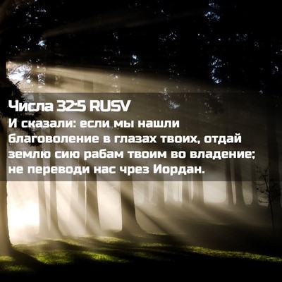 Picture 02 - Числа 32:5 RUSV - И сказали: если мы нашли - Bible Verse Picture