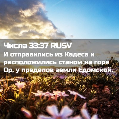 Picture 02 - Числа 33:37 RUSV - И отправились из Кадеса и - Bible Verse Picture