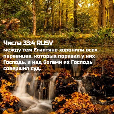 Picture 02 - Числа 33:4 RUSV - между тем Египтяне - Bible Verse Picture