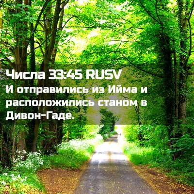 Picture 02 - Числа 33:45 RUSV - И отправились из Ийма и - Bible Verse Picture