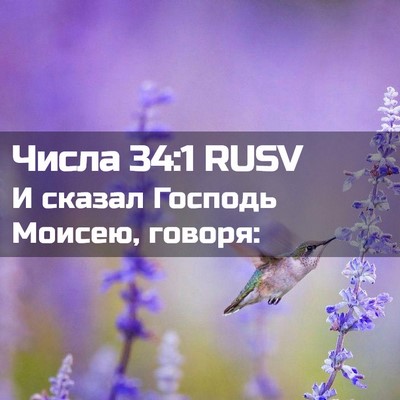 Picture 02 - Числа 34:1 RUSV - И сказал Господь Моисею, - Bible Verse Picture
