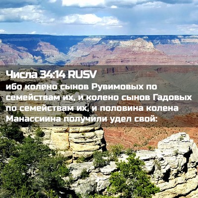 Picture 02 - Числа 34:14 RUSV - ибо колено сынов Рувимовых - Bible Verse Picture
