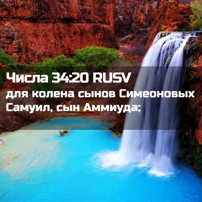 Picture 02 - Числа 34:20 RUSV - для колена сынов - Bible Verse Picture