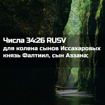Picture 02 - Числа 34:26 RUSV - для колена сынов - Bible Verse Picture