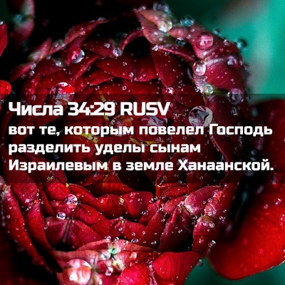Picture 02 - Числа 34:29 RUSV - вот те, которым повелел - Bible Verse Picture