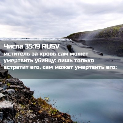 Picture 02 - Числа 35:19 RUSV - мститель за кровь сам - Bible Verse Picture