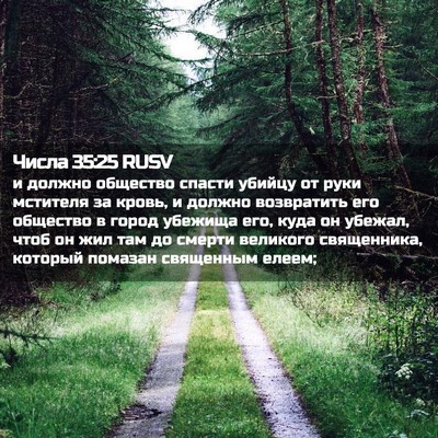 Picture 02 - Числа 35:25 RUSV - и должно общество спасти - Bible Verse Picture